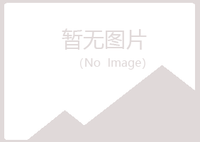 八公山区映寒音乐有限公司